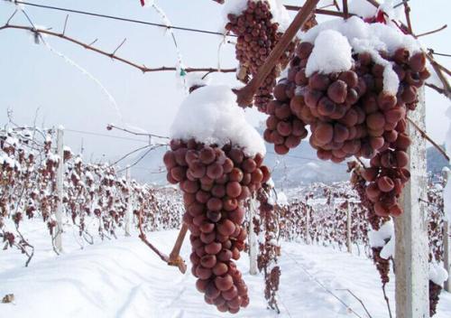 冰葡萄酒 冰葡萄酒
