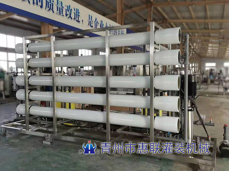 6噸雙級水處理設(shè)備